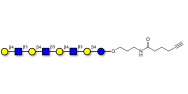 Lacto-N-neooctaose (LNnO)...