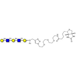 Galacto-N-neopentaose linked to biotin (Linker-BT A)