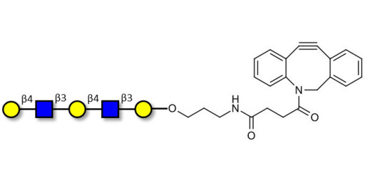 Galacto-N-neopentaose with DBCO (Linker-DBCO A) - Di LAcNac Gal
