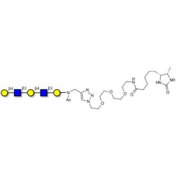 Galacto-N-neopentaose linked to desthiobiotin (Linker-DBT-A)