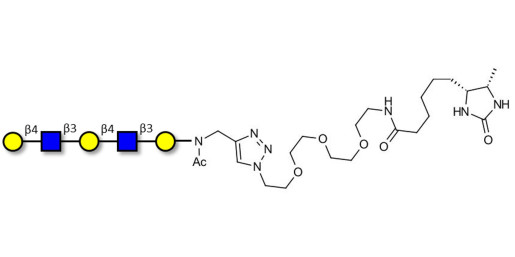Galacto-N-neopentaose linked to desthiobiotin (Linker-DBT-A) - Di LAcNac Gal