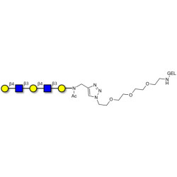 Galacto-N-neopentaose grafted on gel for affinity chromatography (Linker-GEL A)