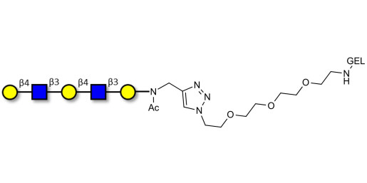 Galacto-N-neopentaose grafted on gel for affinity chromatography (Linker-GEL A) - Di LAcNac Gal