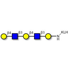 Galacto-N-neopentaose grafted on KLH