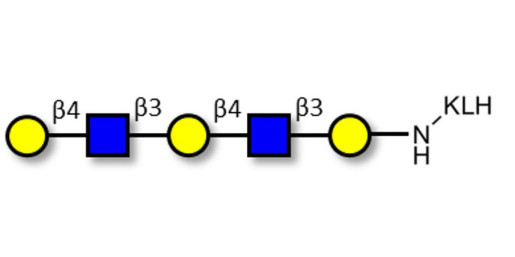 Galacto-N-neopentaose grafted on KLH - Di LAcNac Gal