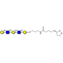 Galacto-N-neopentaose with cyclic di-thiol (Linker-LIPO A)