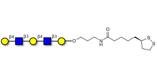 Galacto-N-neopentaose with cyclic di-thiol (Linker-LIPO A) - Di LAcNac Gal