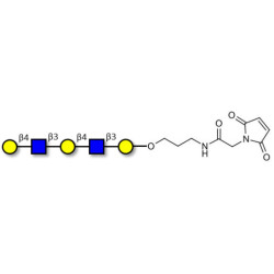 Galacto-N-neopentaose linked to maleimide (Linker-MAL A)