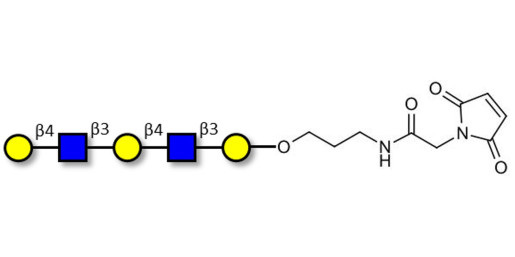 Galacto-N-neopentaose linked to maleimide (Linker-MAL A) - Di LAcNac Gal