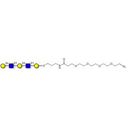 Galacto-N-neopentaose with terminal azide (Linker-N3 A)