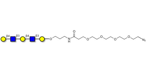Galacto-N-neopentaose with terminal azide (Linker-N3 A) - Di LAcNac Gal