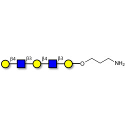 Galacto-N-neopentaose with free terminal amine (Linker-NH2 A)