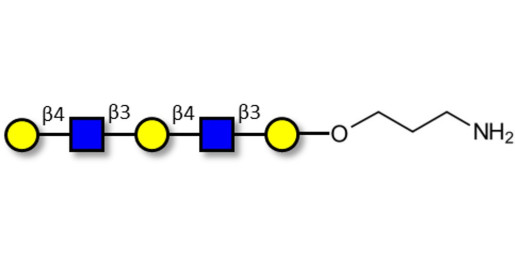Galacto-N-neopentaose with free terminal amine (Linker-NH2 A) - Di LAcNac Gal