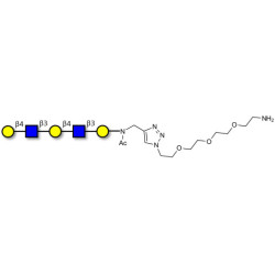 Galacto-N-neopentaose with free terminal amine (Linker-NH2 B)
