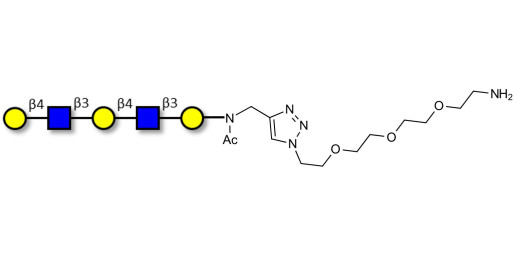 Galacto-N-neopentaose with free terminal amine (Linker-NH2 B) - Di LAcNac Gal