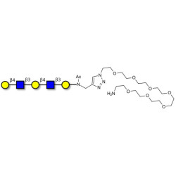 Galacto-N-neopentaose with free terminal amine (Linker-NH2 C)