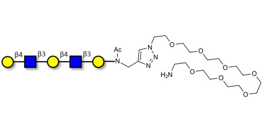 Galacto-N-neopentaose with free terminal amine (Linker-NH2 C) - Di LAcNac Gal