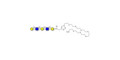 Galacto-N-neopentaose with free terminal amine (Linker-NH2 C) - Di LAcNac Gal
