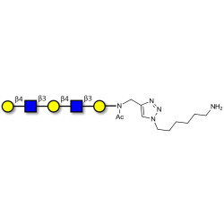 Galacto-N-neopentaose with free terminal amine (Linker-NH2 D)