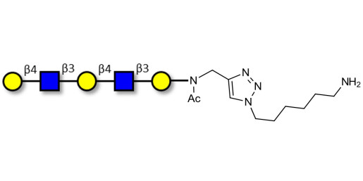 Galacto-N-neopentaose with free terminal amine (Linker-NH2 D) - Di LAcNac Gal