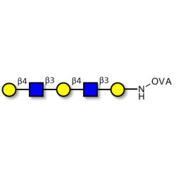 Galacto-N-neopentaose grafted on OVA