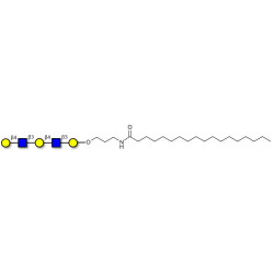 Galacto-N-neopentaose with stearic chain (Linker-STEA A)