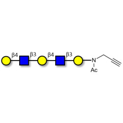 Galacto-N-neopentaose with terminal alkyne (Linker-CΞCH A)