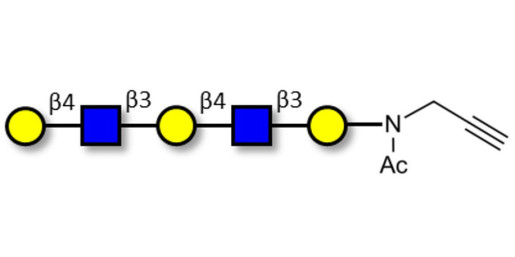 Galacto-N-neopentaose with terminal alkyne (Linker-CΞCH A) - Di LAcNac Gal
