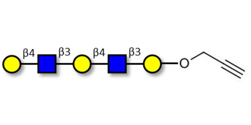 Galacto-N-neopentaose with terminal alkyne (Linker-CΞCH B) - Di LAcNac Gal