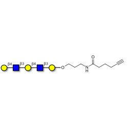 Galacto-N-neopentaose with terminal alkyne (Linker-CΞCH C)