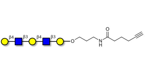 Galacto-N-neopentaose with terminal alkyne (Linker-CΞCH C) - Di LAcNac Gal