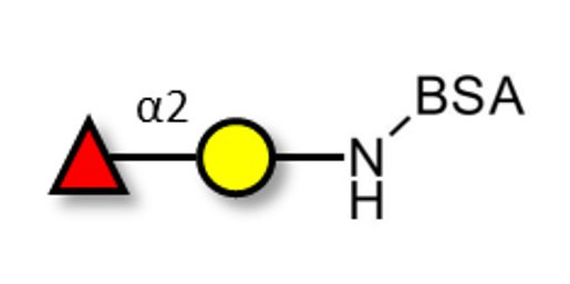 Blood group H antigen disaccharide grafted on BSA
