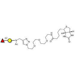 Blood group H antigen disaccharide linked to biotin (Linker-BT A)