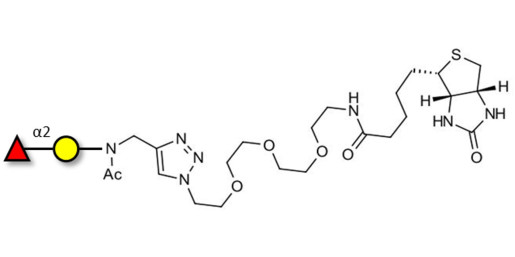 Blood group H antigen disaccharide linked to biotin (Linker-BT A)
