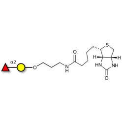 Blood group H antigen disaccharide linked to biotin (Linker-BT B)