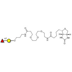 Blood group H antigen disaccharide linked to biotin (Linker-BT C)