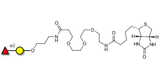 Blood group H antigen disaccharide linked to biotin (Linker-BT C)