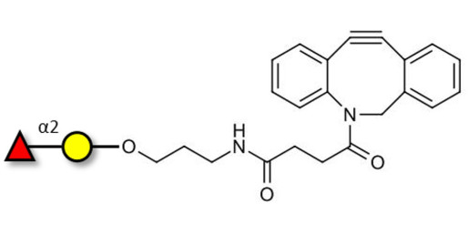 Blood group H antigen disaccharide with DBCO (Linker-DBCO A)