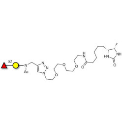 Blood group H antigen disaccharide linked to desthiobiotin (Linker-DBT-A)