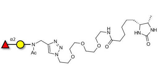 Blood group H antigen disaccharide linked to desthiobiotin (Linker-DBT-A)