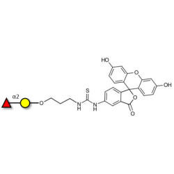 Blood group H antigen disaccharide linked to fluorescein (Linker-FLUO A)