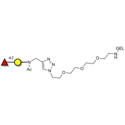Blood group H antigen disaccharide grafted on gel for affinity chromatography (Linker-GEL A)