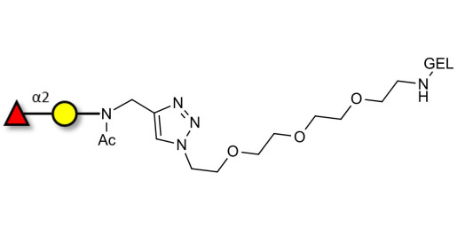 Blood group H antigen disaccharide grafted on gel for affinity chromatography (Linker-GEL A)