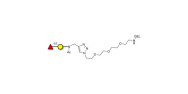 Blood group H antigen...