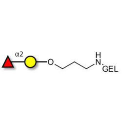 Blood group H antigen disaccharide grafted on gel for affinity chromatography (Linker-GEL B)