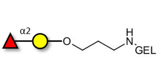 Blood group H antigen disaccharide grafted on gel for affinity chromatography (Linker-GEL B)