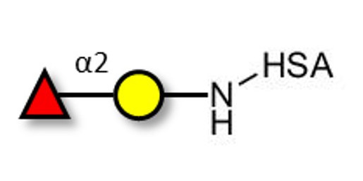 Blood group H antigen disaccharide grafted on HSA