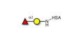 Blood group H antigen disaccharide grafted on HSA