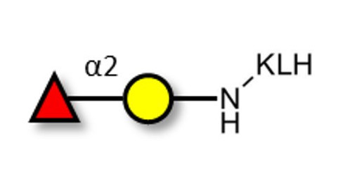 Blood group H antigen disaccharide grafted on KLH