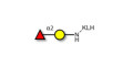 Blood group H antigen disaccharide grafted on KLH